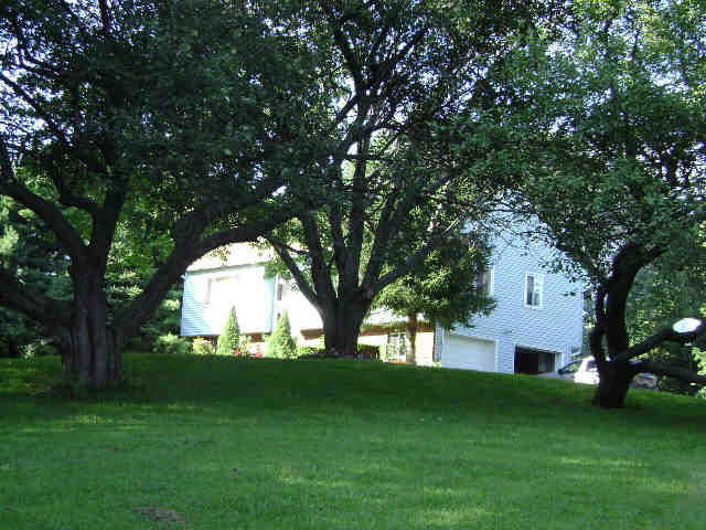 Building photograph for 19 SUNSET RD